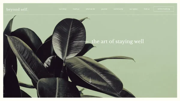 View Beyond Self Portfolio